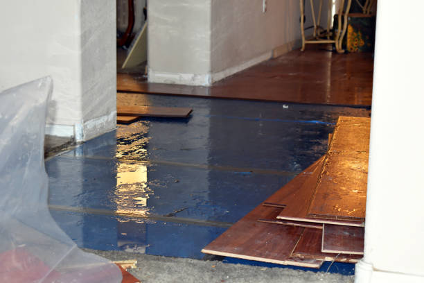 Professional Water Extraction technician working in Carson City, MI